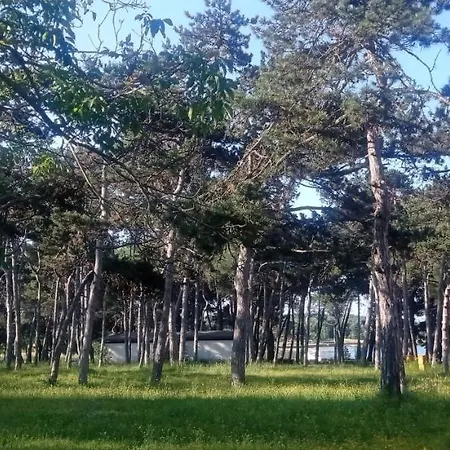 Stinjan Sunny * Pula
