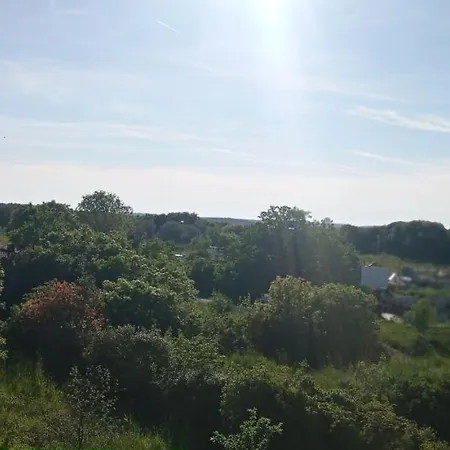 Stinjan Sunny